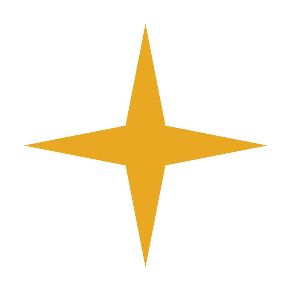 North Star Logo